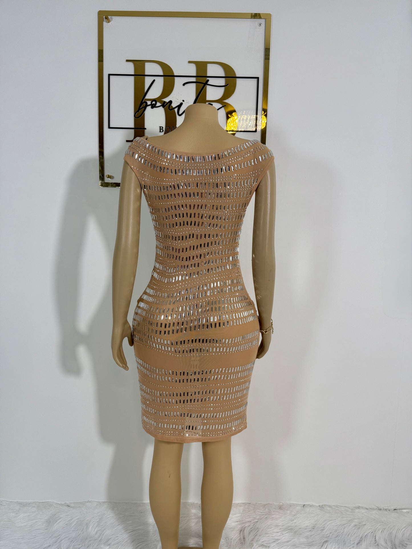 Envy Mesh Dress