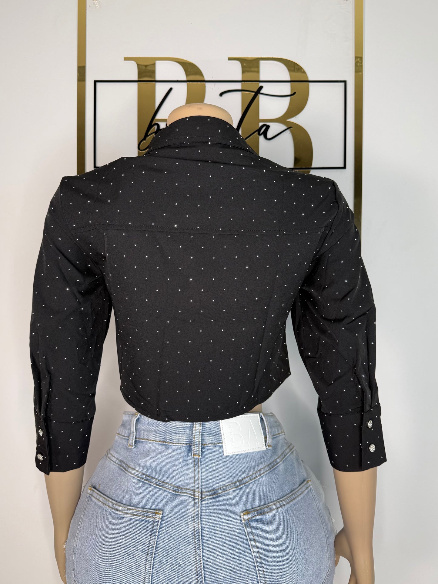 Sparkle Crop Blouse