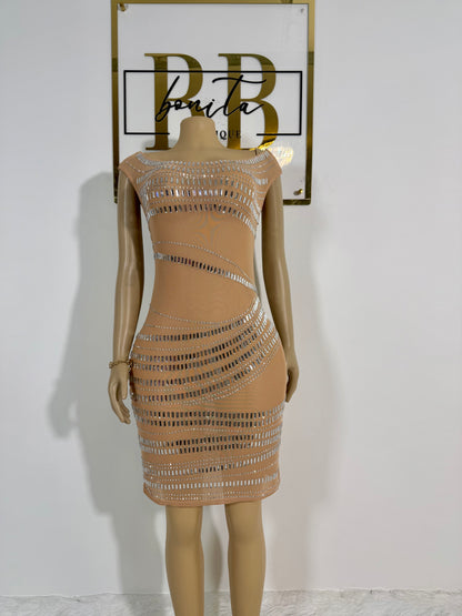 Envy Mesh Dress